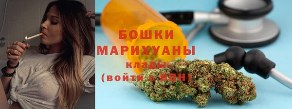 прущие грибы Карталы