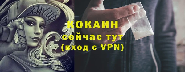 стафф Касимов
