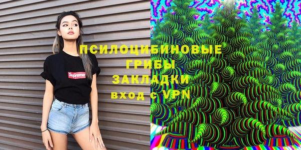 MDMA Карпинск