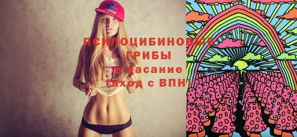 прущие грибы Карталы