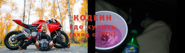 стафф Касимов