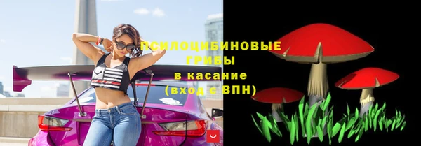 прущие грибы Карталы