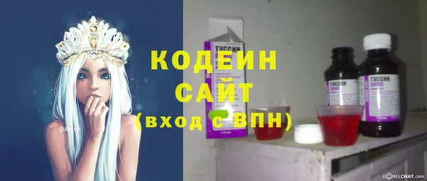 стафф Касимов