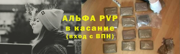 прущие грибы Карталы