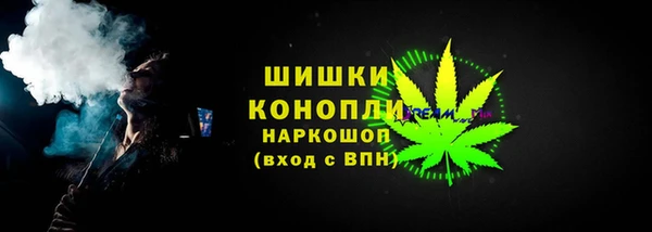 прущие грибы Карталы