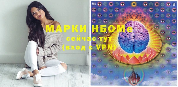 стафф Касимов