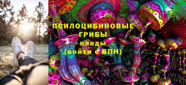 стафф Касимов
