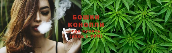 стафф Касимов