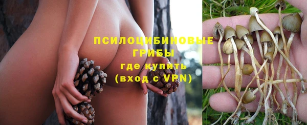 стафф Касимов